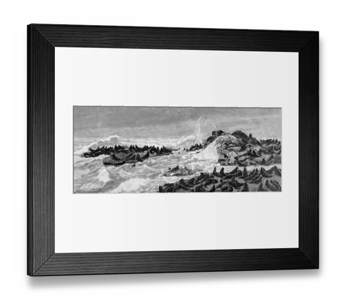 Framed Print : Seal Point, Bay of San Francisco, 1888 Framed Print : Seal Point, Bay of San Francisco, 1888