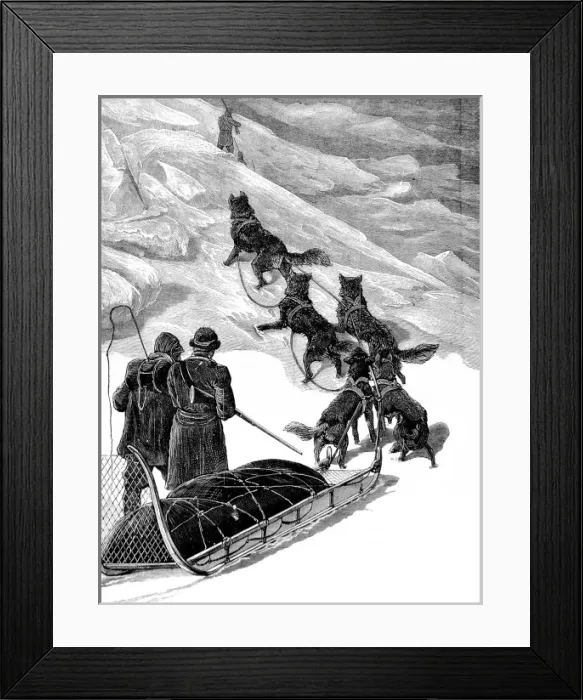Framed Print : A Dog Sledge of the British Arctic Expedition, 1875-1876 Framed Print : A Dog Sledge of the British Arctic Expedition, 1875-1876