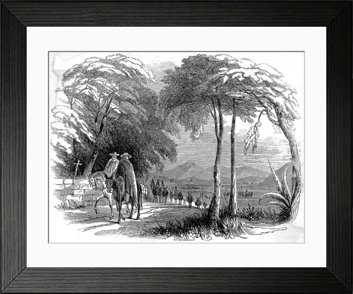 Framed Print : The Second Mexican indemnity on its way to Vera Cruz, 1846 Framed Print : The Second Mexican indemnity on its way to Vera Cruz, 1846