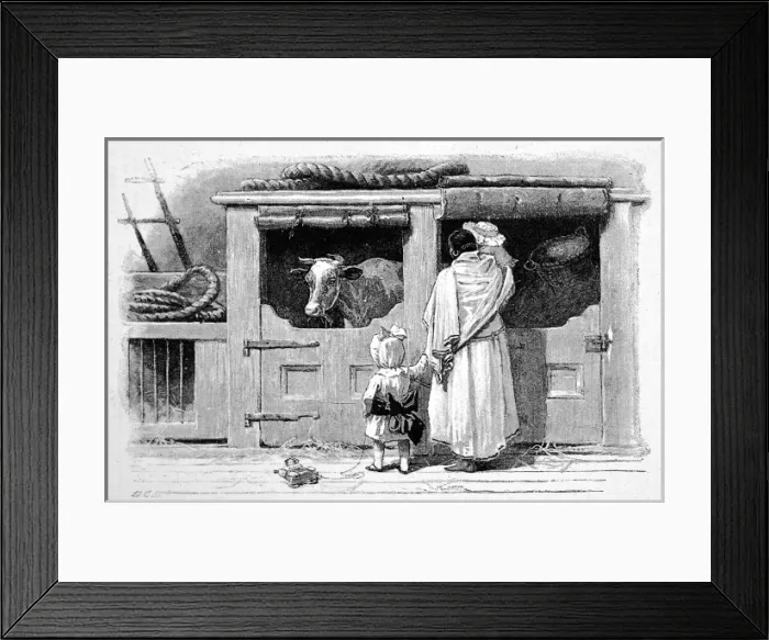 Framed Print : Cow on a P&O steamer, 1890 Framed Print : Cow on a P&O steamer, 1890