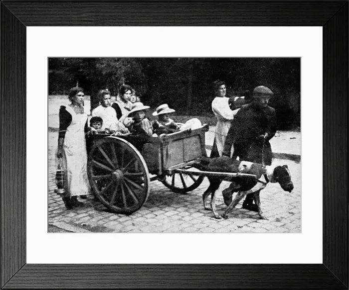 Framed Print : Belgian peasant refugees Framed Print : Belgian peasant refugees