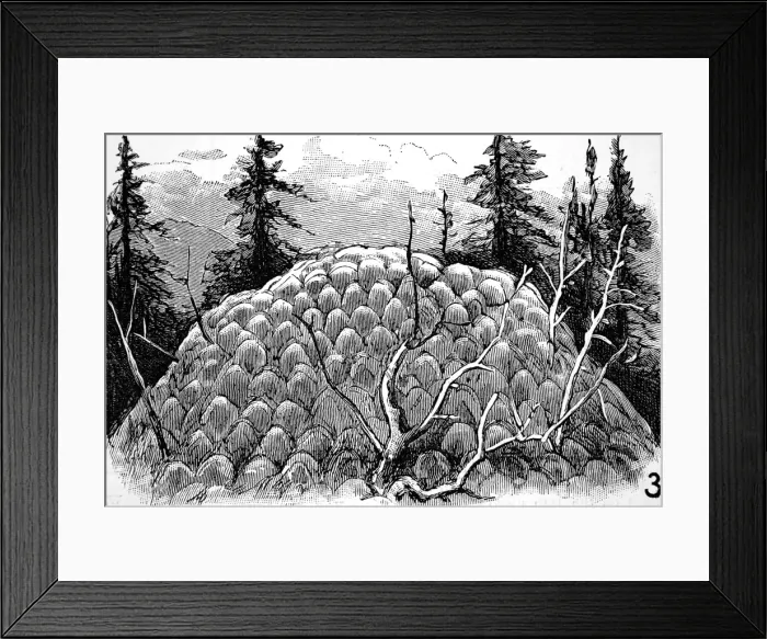 Framed Print : Mound of Deposits from Fountain, Yellowstone, 1883 Framed Print : Mound of Deposits from Fountain, Yellowstone, 1883