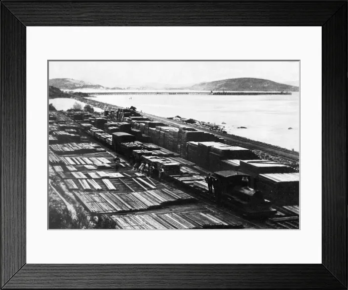 Framed Print : Forest railway, Western Australia Framed Print : Forest railway, Western Australia