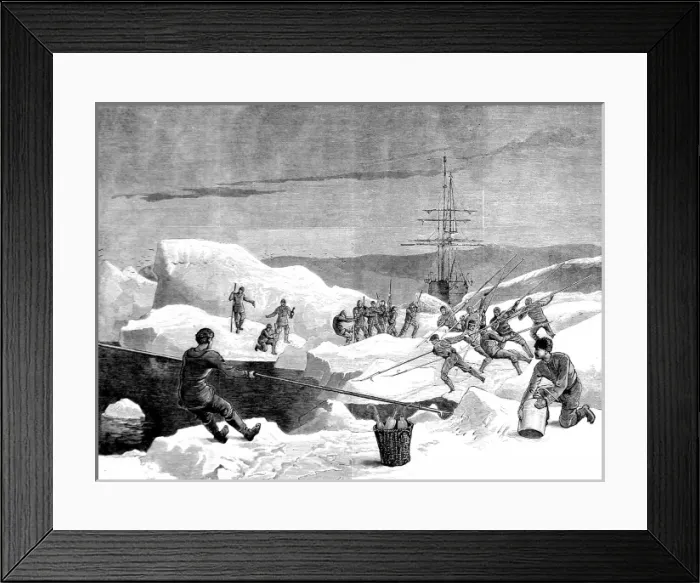 Framed Print : Men of the British Arctic Expedition cutting a channel throu Framed Print : Men of the British Arctic Expedition cutting a channel throu