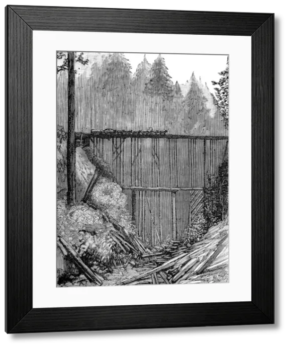 Framed Print : A Bridge in the Redwood Forest, California, 1884 Framed Print : A Bridge in the Redwood Forest, California, 1884