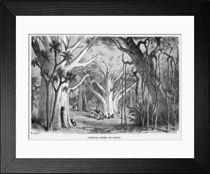 Framed Print : Sudan Scenery Framed Print : Sudan Scenery