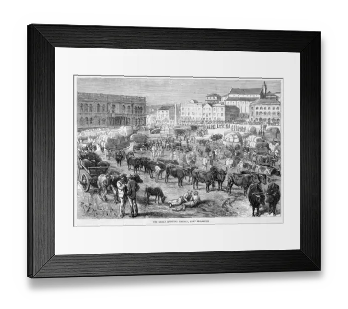 Framed Print : S Africa Port Elizabeth Framed Print : S Africa Port Elizabeth