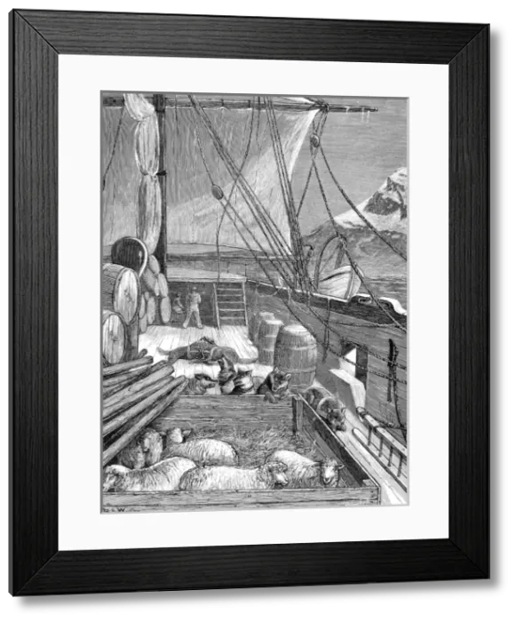 Framed Print : The Deck of HMS Alert, British Arctic Expedition, 1875 Framed Print : The Deck of HMS Alert, British Arctic Expedition, 1875