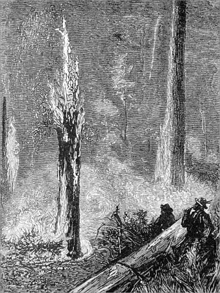 Burning a clearing in the woods, California, 1884
