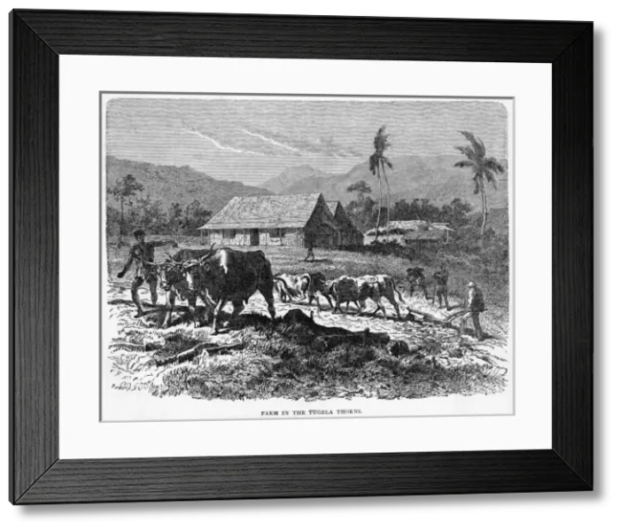Framed Print : South Africa Tugela Framed Print : South Africa Tugela