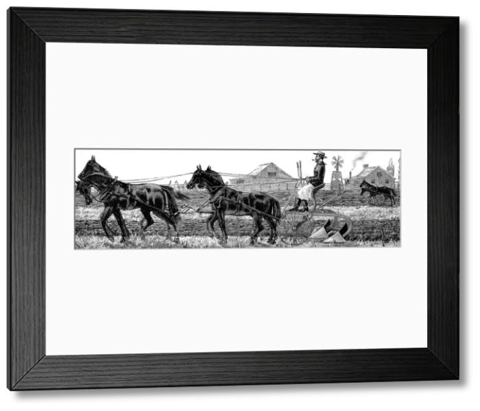 Framed Print : America. Wheat Farming in California. November: Ploughing Framed Print : America. Wheat Farming in California. November: Ploughing