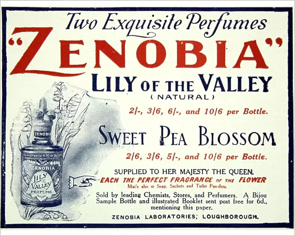 Zenobia perfumes