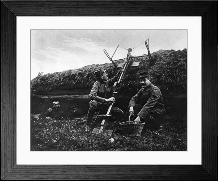 Framed Print : A sauterelle Framed Print : A sauterelle