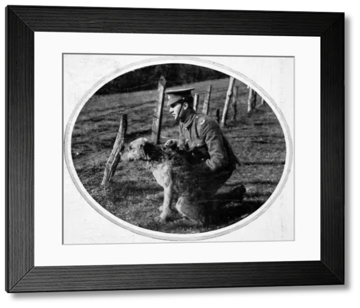 Framed Print : British War Dog Framed Print : British War Dog