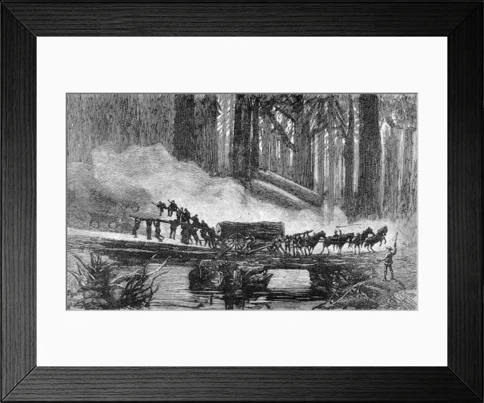 Framed Print : A wagon breakdown in the Redwood Forest, California, 1884 Framed Print : A wagon breakdown in the Redwood Forest, California, 1884