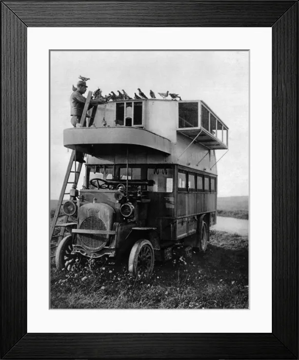 Framed Print : A converted bus for pigeons Framed Print : A converted bus for pigeons