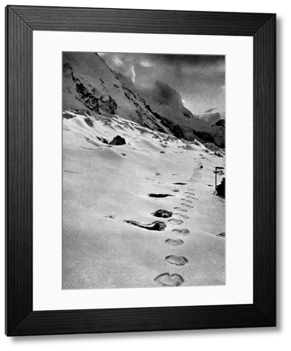 Framed Print : Footprints of a mysterious creature in the Himalayan mountai Framed Print : Footprints of a mysterious creature in the Himalayan mountai