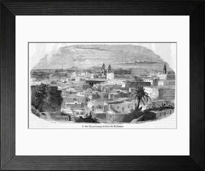 Framed Print : Tunisia Tunis Framed Print : Tunisia Tunis
