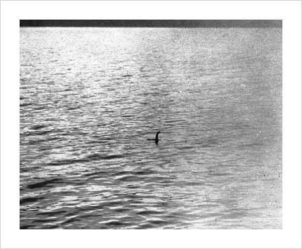 An infamous image of the Loch Ness Monster