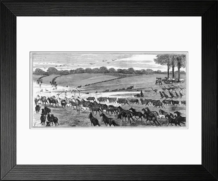 Framed Print : Australia Water Hole Framed Print : Australia Water Hole