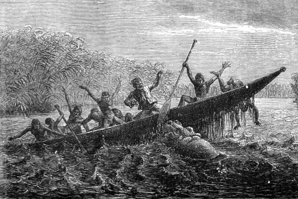 Hippopotamus attacking a canoe, South Africa, 1857
