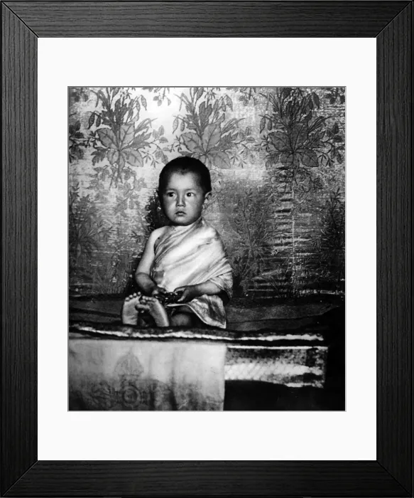 Framed Print : The two year old Holy Lama, Mongolia Framed Print : The two year old Holy Lama, Mongolia
