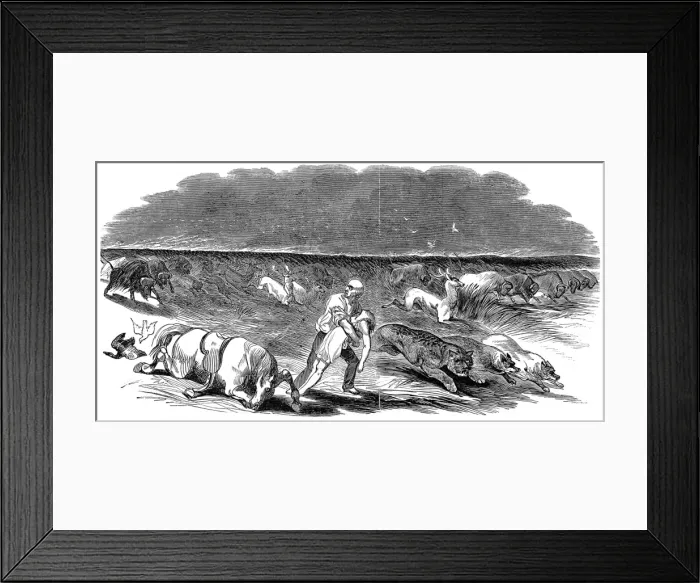 Framed Print : American Prairie on Fire Framed Print : American Prairie on Fire