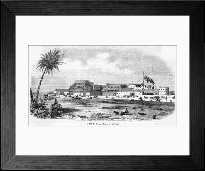 Framed Print : Tunisia Tunis Framed Print : Tunisia Tunis
