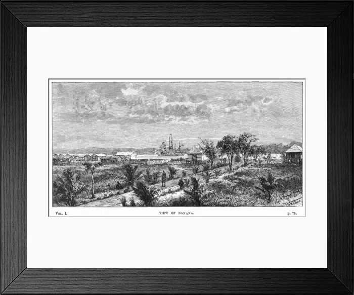 Framed Print : Zaire Banana Framed Print : Zaire Banana