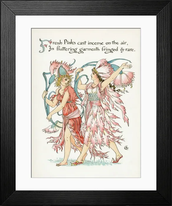 Framed Print : Plants / Dianthus Species Framed Print : Plants / Dianthus Species