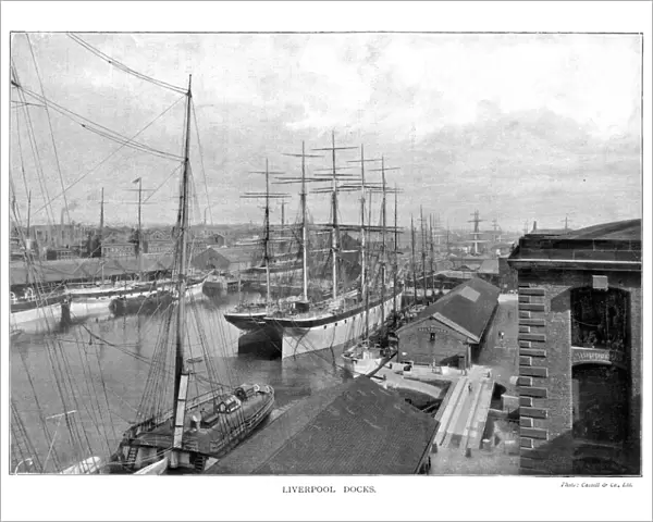 Liverpool Docks  /  1902