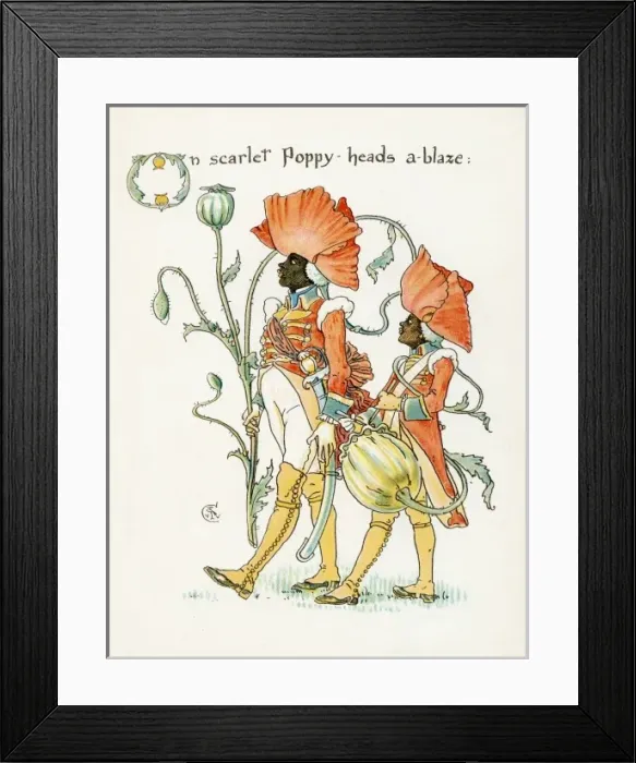 Framed Print : Plants / Papaver Framed Print : Plants / Papaver