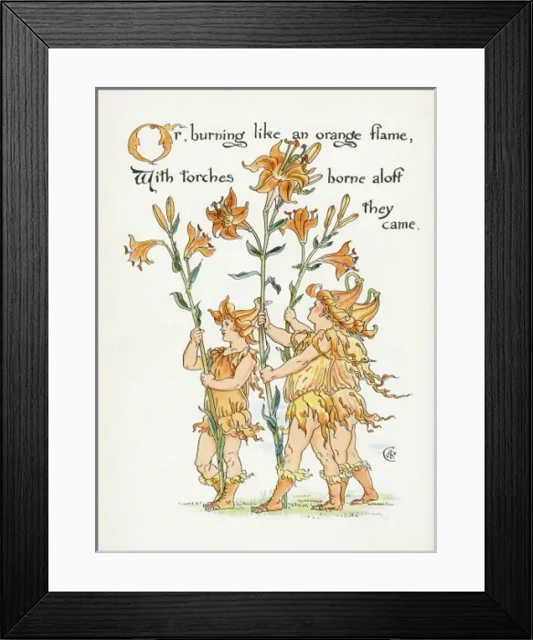 Framed Print : Plants / Lilium Species Framed Print : Plants / Lilium Species