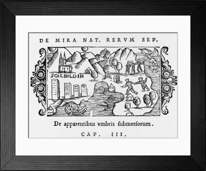 Framed Print : Icelandic Sea Creatures Framed Print : Icelandic Sea Creatures