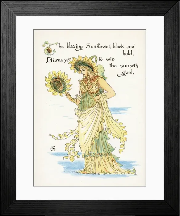 Framed Print : Helianthus Species Framed Print : Helianthus Species