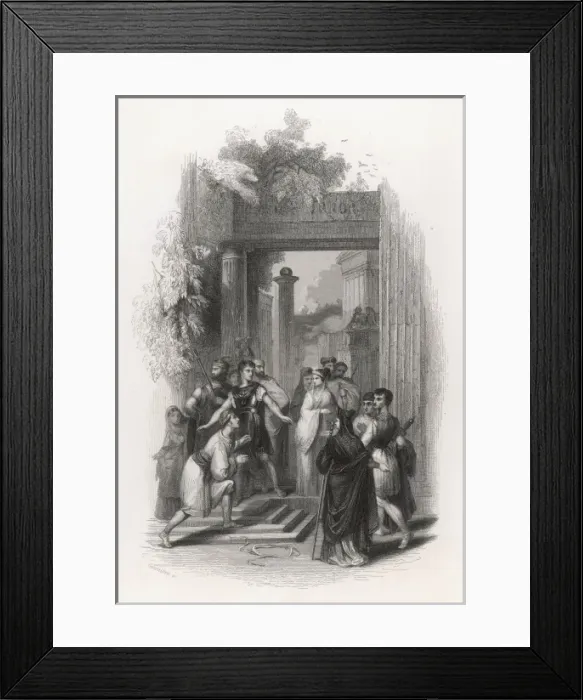 Framed Print : Comedy of Errors Framed Print : Comedy of Errors