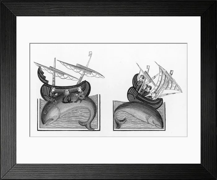 Framed Print : Medieval Whaling Legends Framed Print : Medieval Whaling Legends
