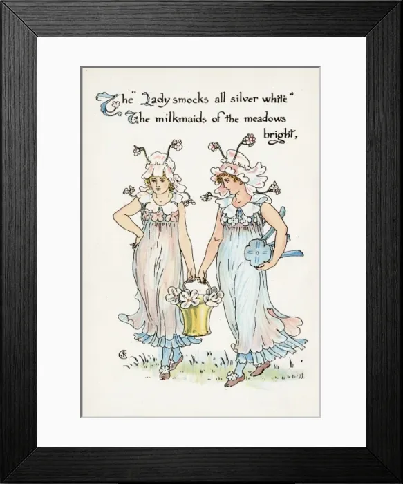 Framed Print : Cardamine Pratensis Framed Print : Cardamine Pratensis