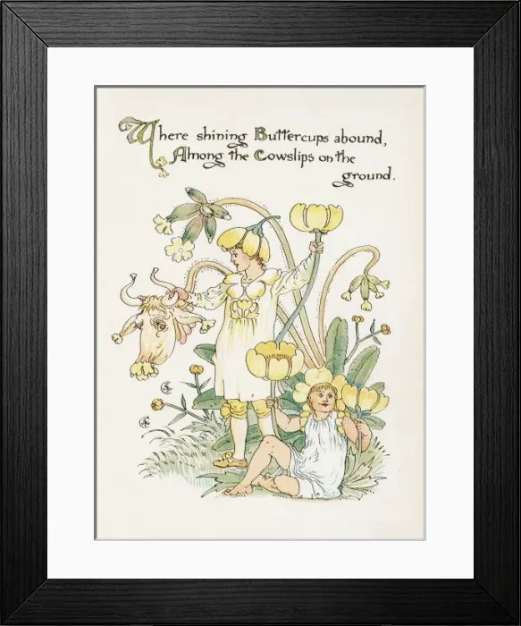 Framed Print : Ranunculus Bulbosus Framed Print : Ranunculus Bulbosus