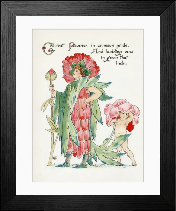 Framed Print : Plants / Paeonia Framed Print : Plants / Paeonia