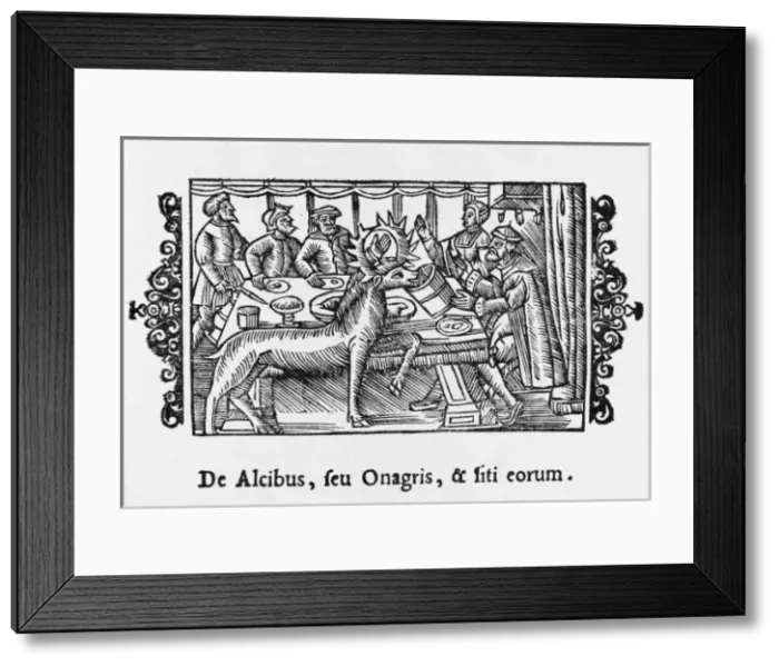 Framed Print : Moose (Elk) / Tamed / Olaus Framed Print : Moose (Elk) / Tamed / Olaus