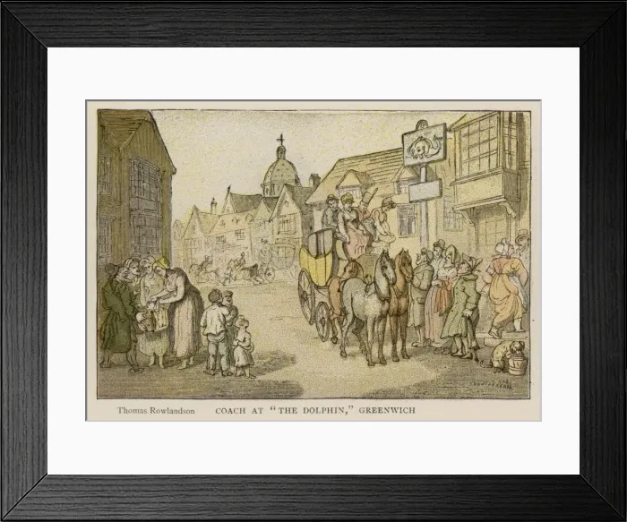 Framed Print : Social / Greenwich Dolphin Framed Print : Social / Greenwich Dolphin