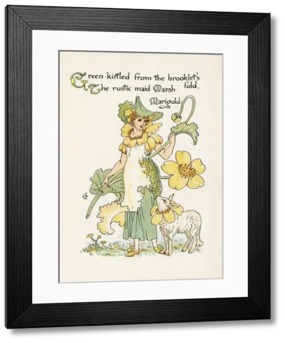 Framed Print : Plants / Caltha Palustris Framed Print : Plants / Caltha Palustris