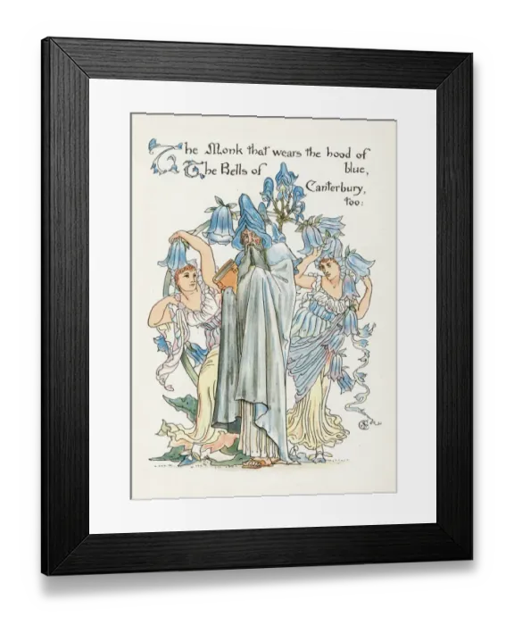 Framed Print : Plants / Aconitum Napellus Framed Print : Plants / Aconitum Napellus