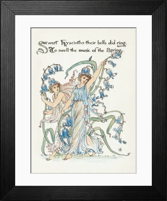 Framed Print : Plants / Hyacinthus Framed Print : Plants / Hyacinthus