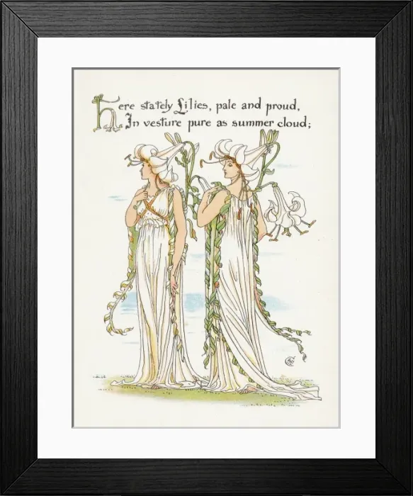 Framed Print : Plants / Lilium Species Framed Print : Plants / Lilium Species