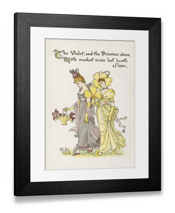 Framed Print : Plants / Viola Framed Print : Plants / Viola