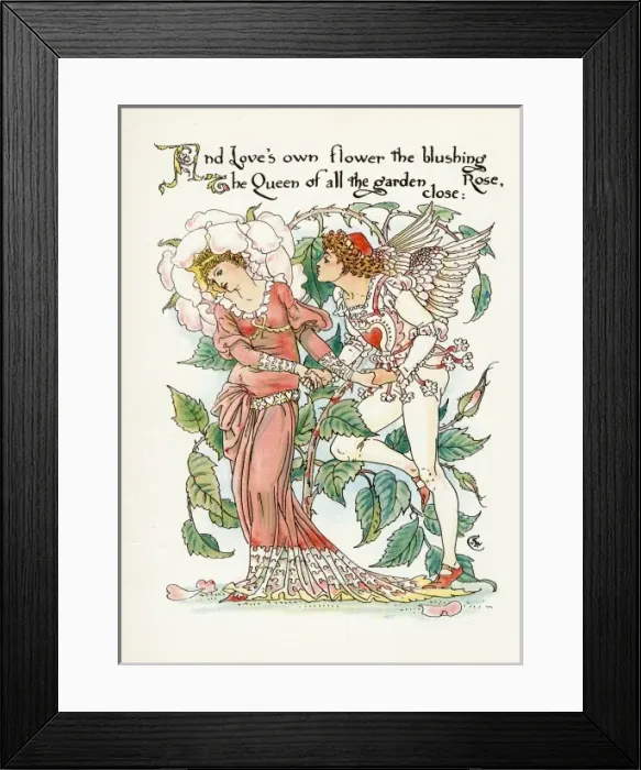 Framed Print : Plants / Rosa Framed Print : Plants / Rosa