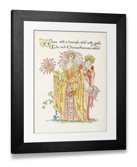 Framed Print : Plants / Chrysanthemum Framed Print : Plants / Chrysanthemum