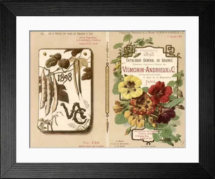 Framed Print : French Seed Catalogue Framed Print : French Seed Catalogue